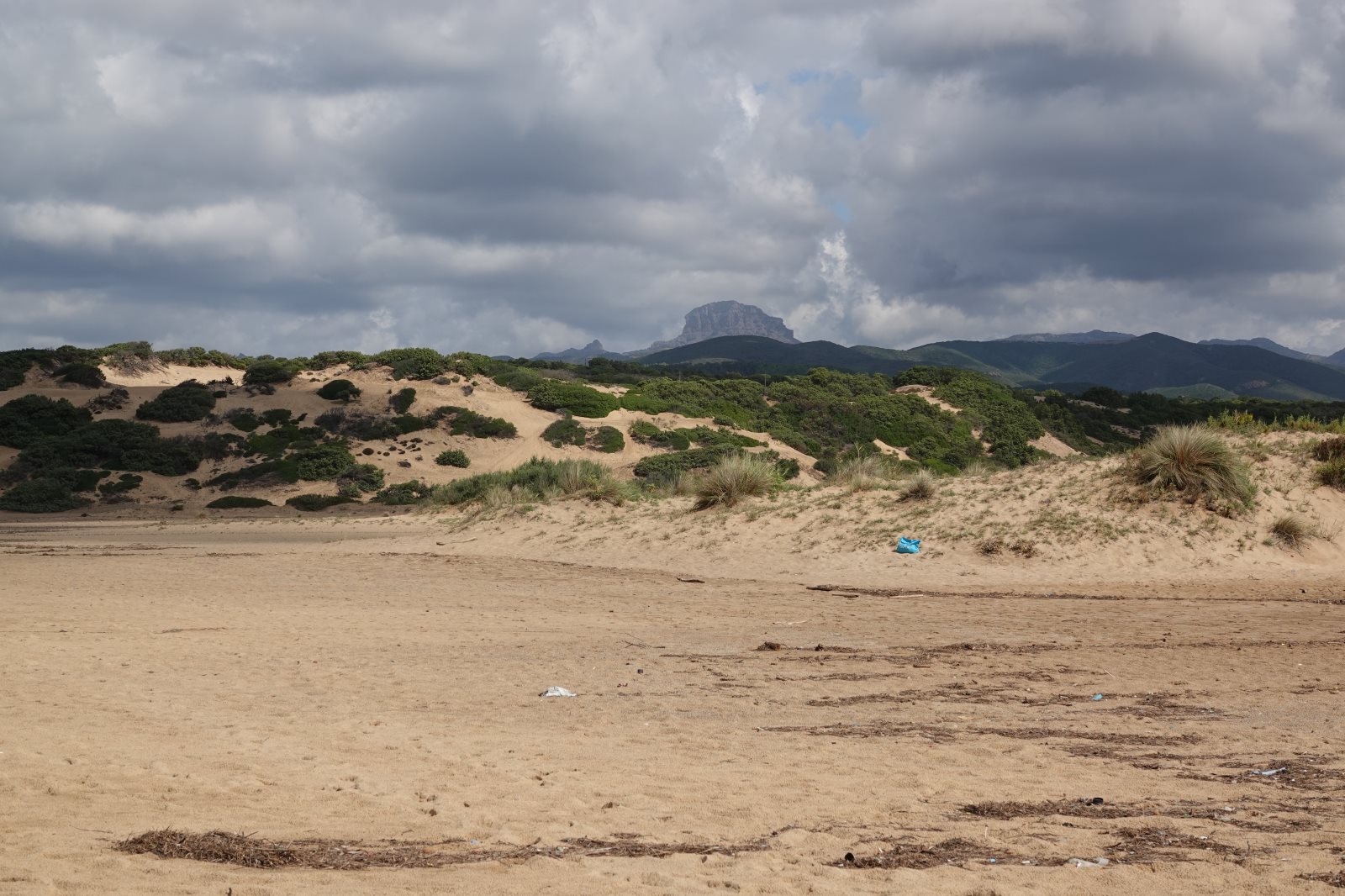 ES_02598.jpg