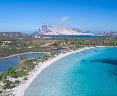 Blick auf Isola Tavolara.jpg