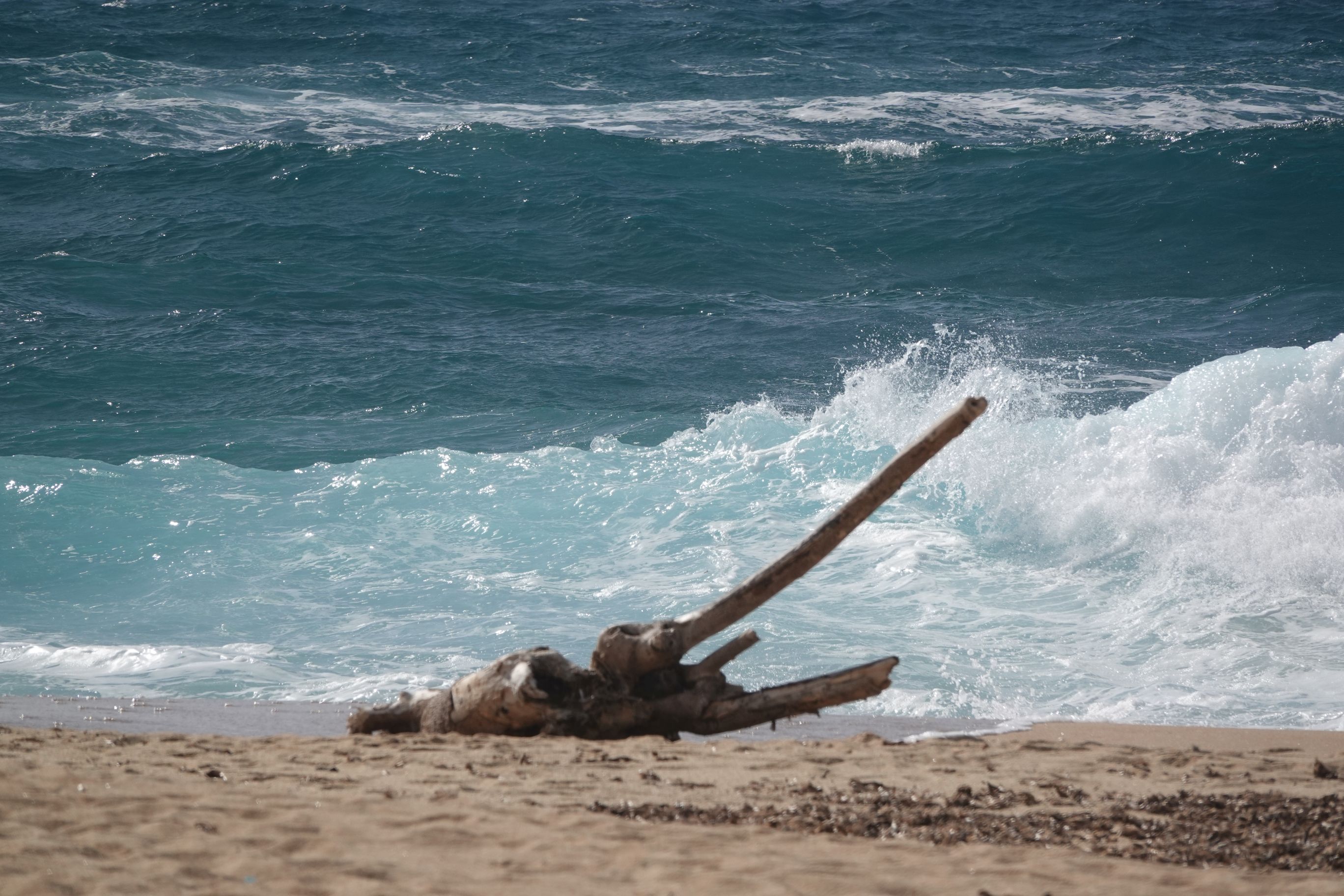 ES_06447.JPG