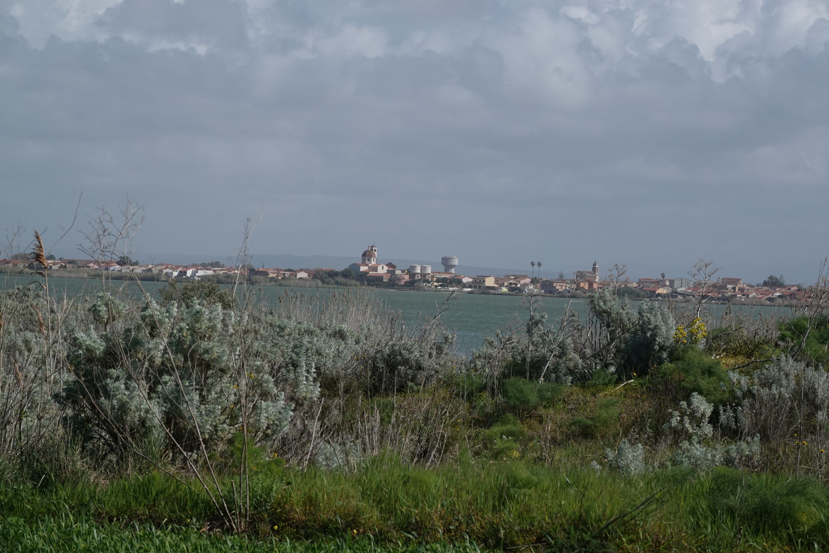 ES_06449.JPG