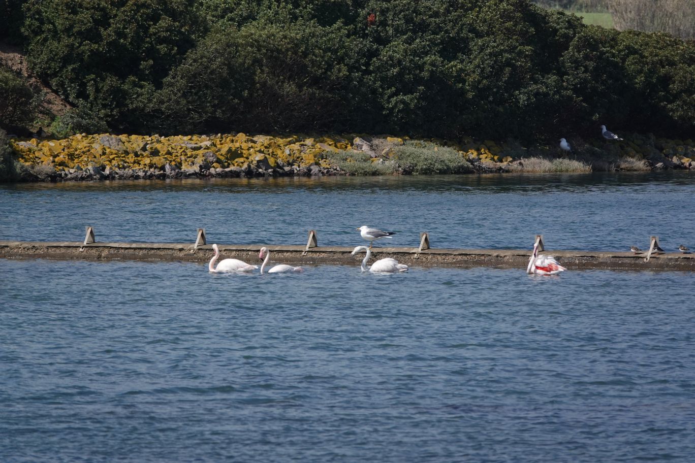 ES_06450.JPG