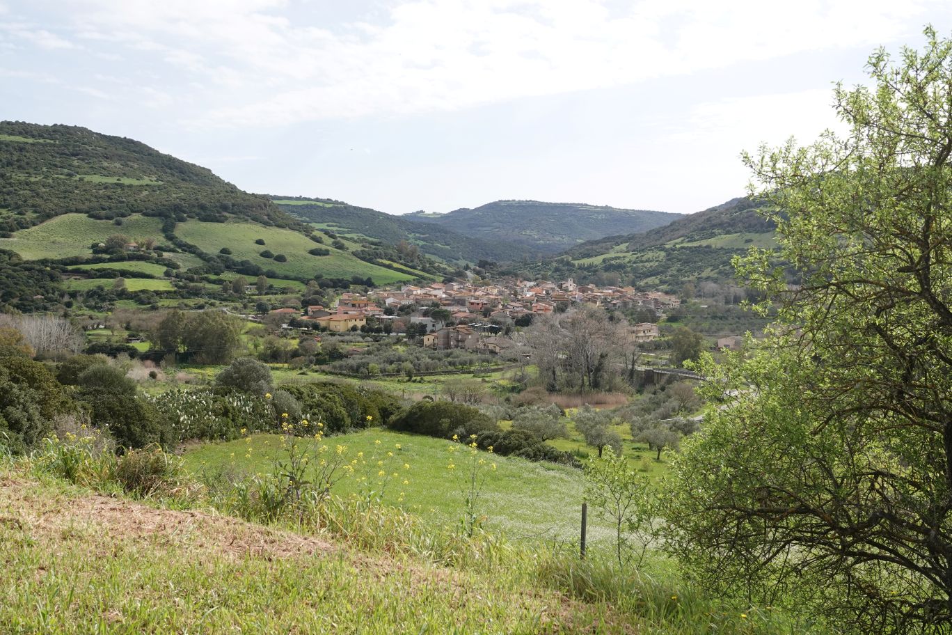 ES_06451.JPG