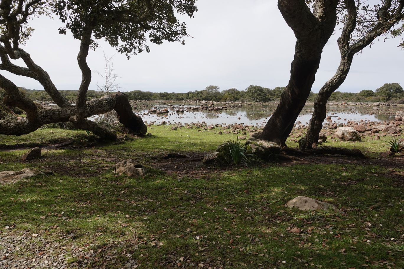 ES_06455.JPG