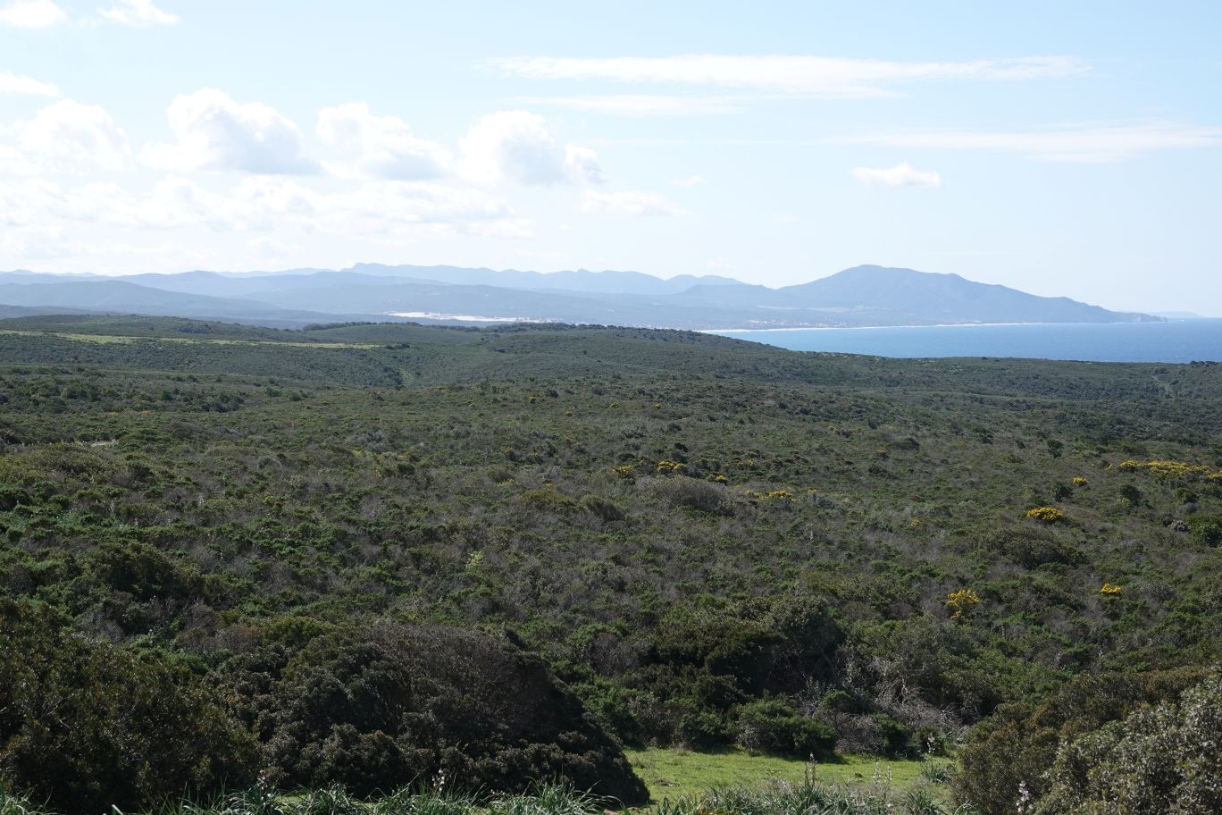 ES_06468.JPG