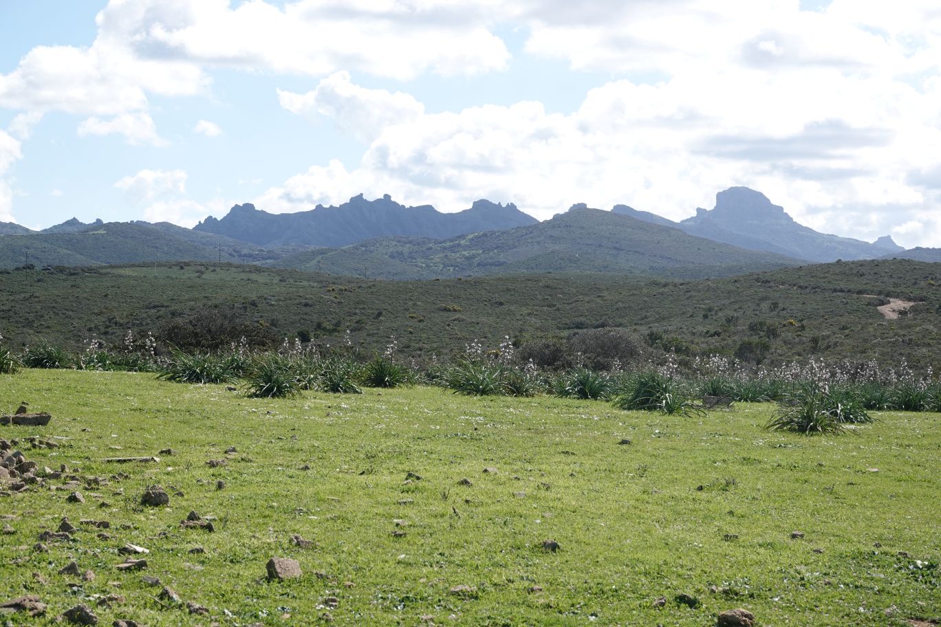 ES_06470.JPG