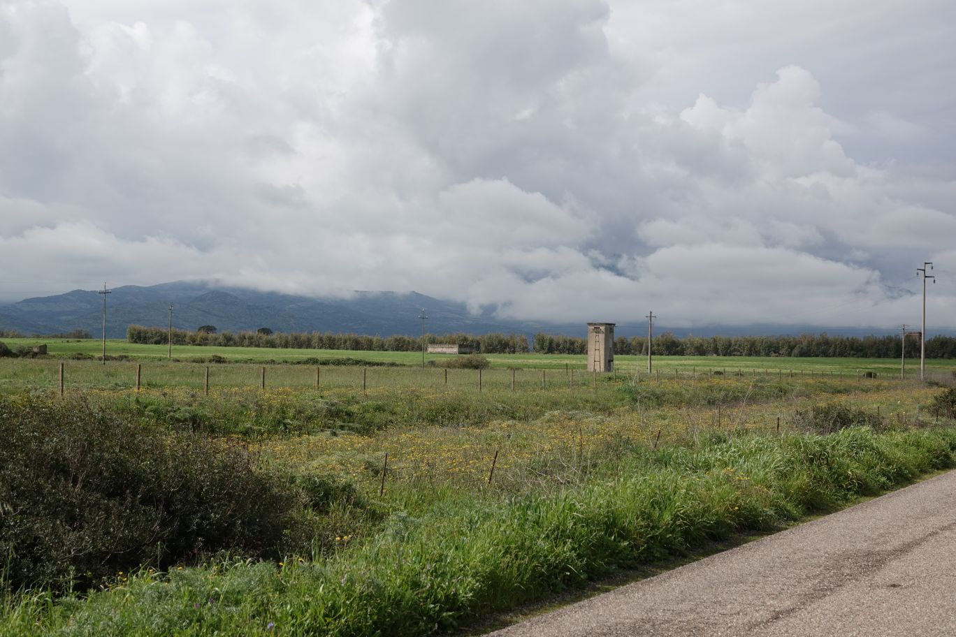 ES_06483.JPG