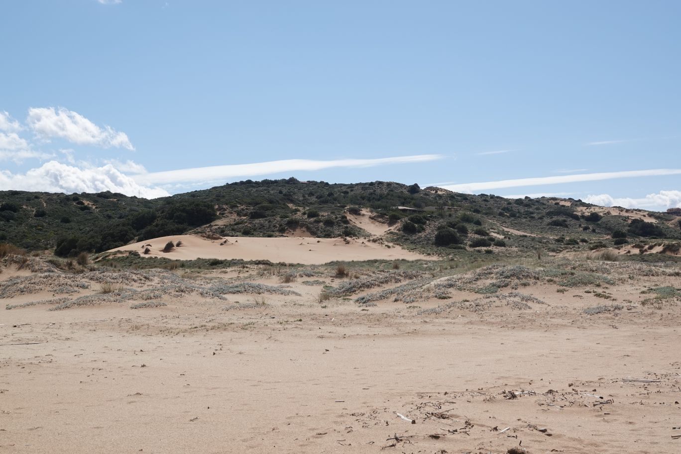 ES_06485.JPG