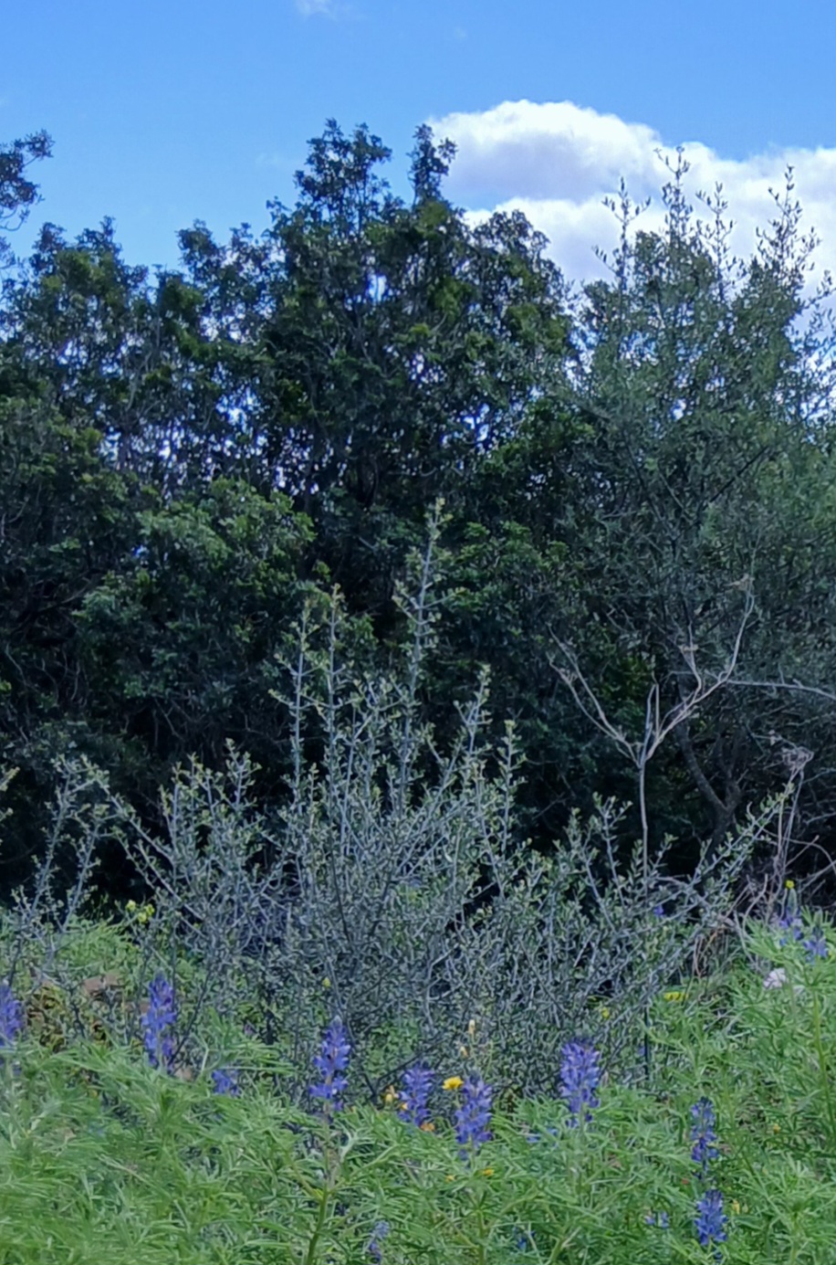 20250325_131127.jpg