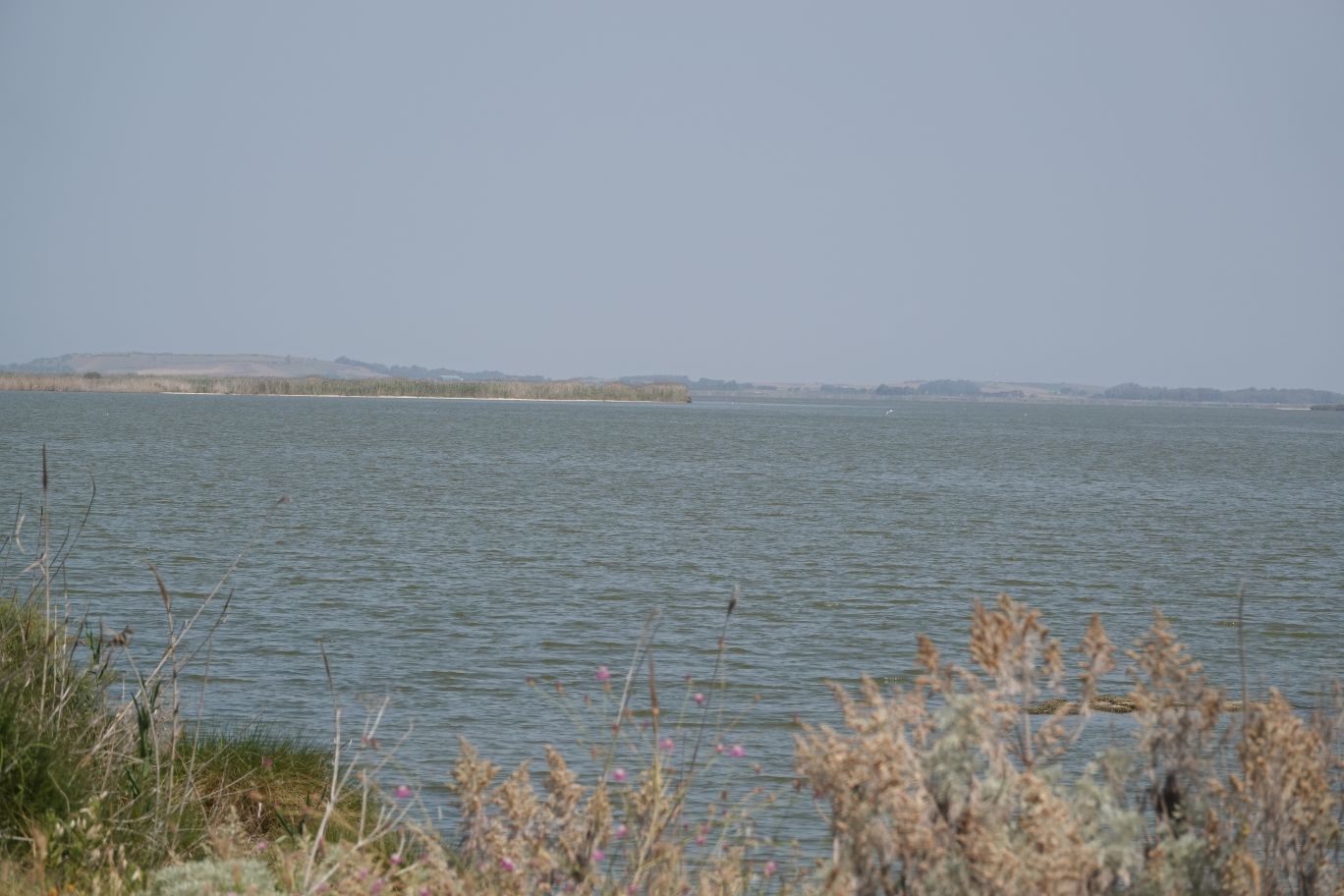 ES_06920.JPG
