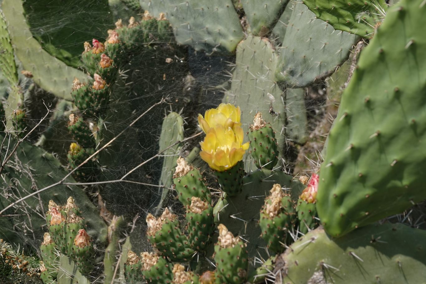 ES_06921.JPG