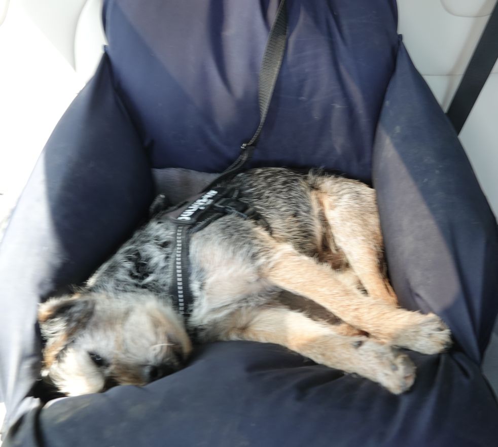 Natürlich mit Gurt gesichert (Mittelsitz)