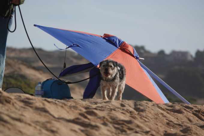 Gino hatte es nicht einfach