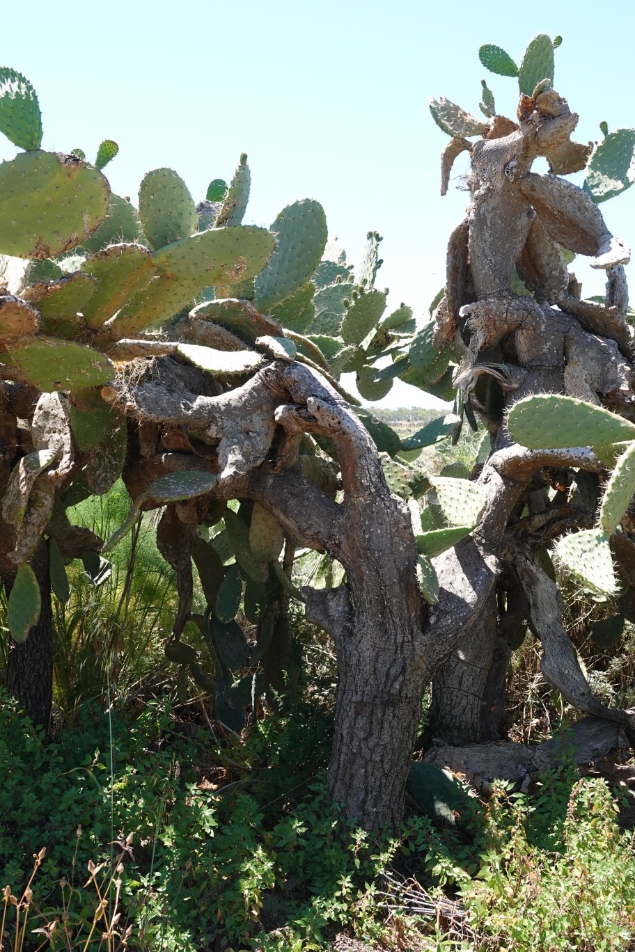 ES_08098.JPG