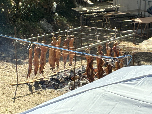 IMG_8006.jpeg