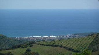 img53e33f32589083.45749319 (1).jpg