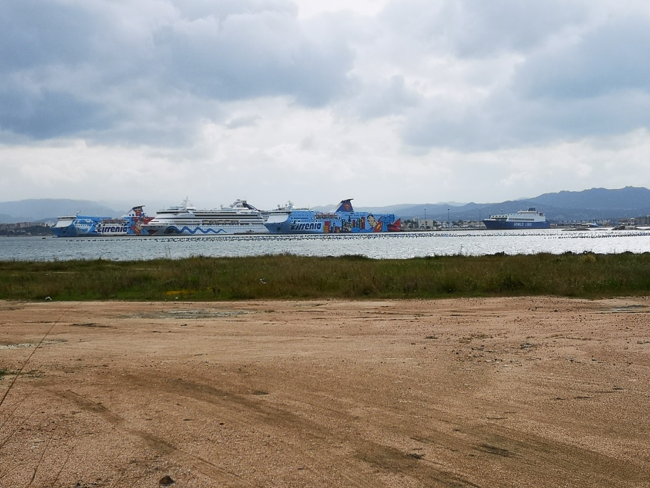 In Olbia warten diese Fähren friedlich auf ihren Einsatz